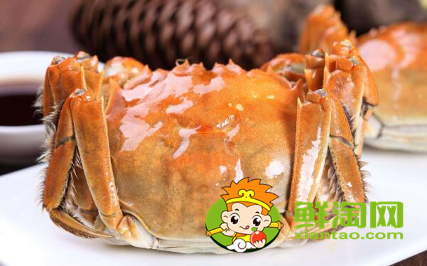 梁子湖大閘蟹幾月份吃，梁子湖大閘蟹在哪里買