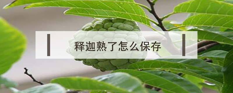 釋迦熟了怎么保存