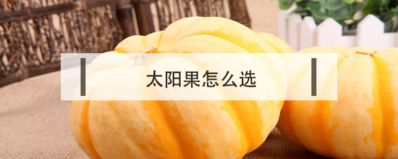 太陽果怎么選
