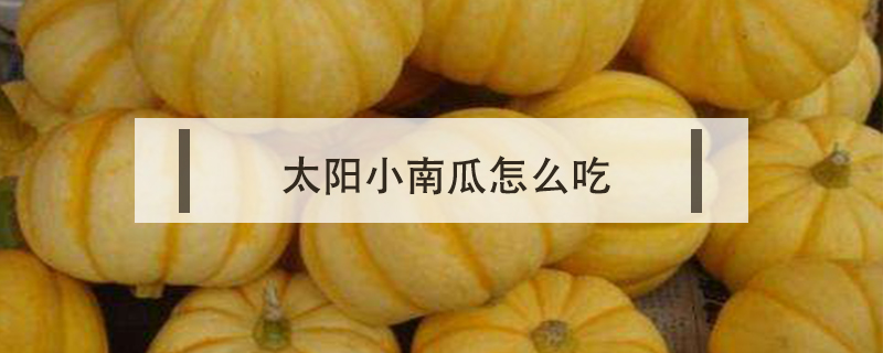 太陽(yáng)小南瓜怎么吃