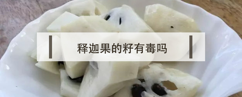 釋迦果的籽有毒嗎