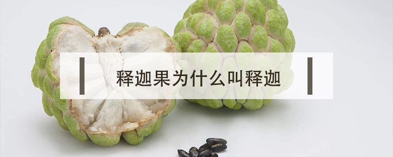 釋迦果為什么叫釋迦