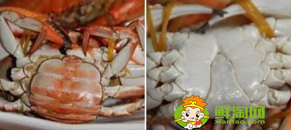 大閘蟹9月還是10月，民間農歷九月吃什么蟹