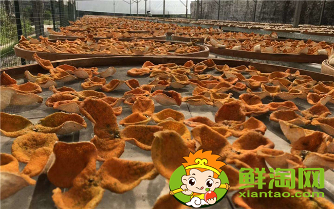 哪里能買到正宗新會陳皮，新會陳皮核心產(chǎn)地
