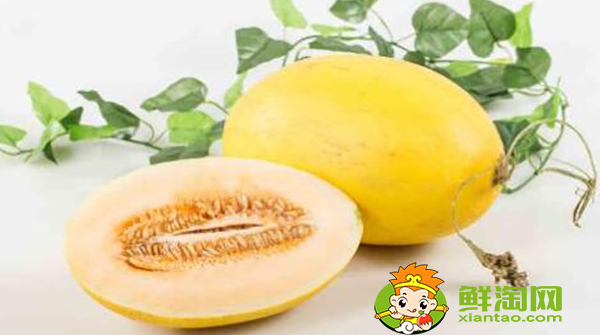 黃皮哈密瓜什么品種，黃皮哈密瓜是哪里產(chǎn)的