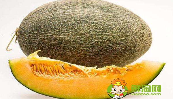 鳳凰蜜瓜綠色的怎么選，蜜瓜里面為什么是綠色的