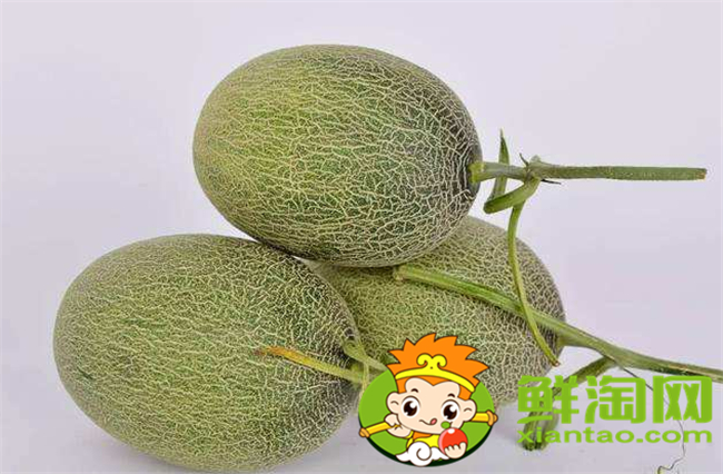 西州蜜瓜怎么挑選，西州蜜25和17區(qū)別