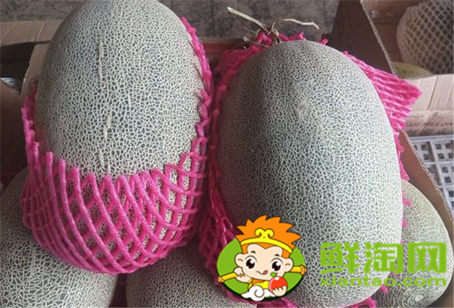 西州蜜瓜怎么挑選，西州蜜25和17區(qū)別