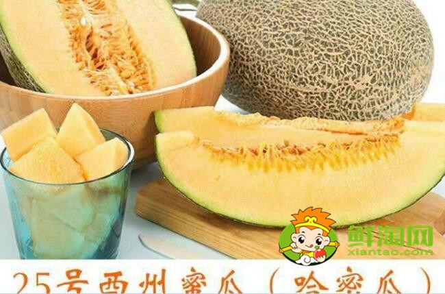 哈密瓜和西周密瓜有什么區(qū)別，西州蜜瓜產(chǎn)地