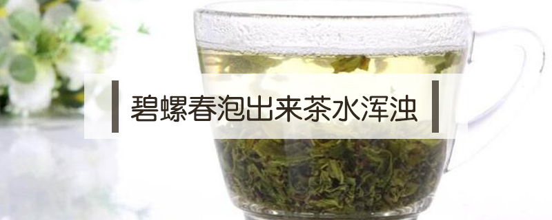 碧螺春泡出來(lái)茶水渾濁