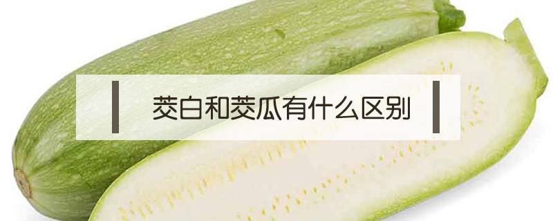茭白和茭瓜有什么區(qū)別