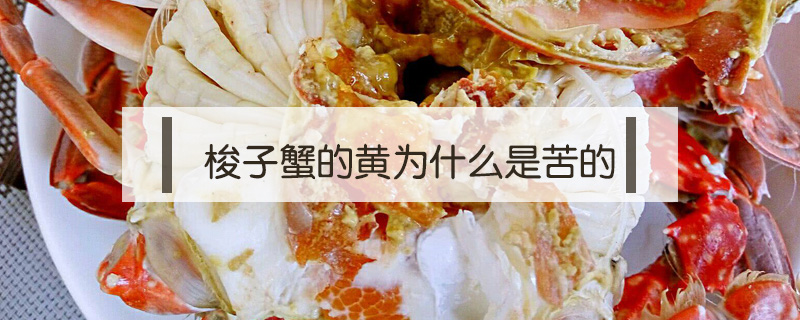 梭子蟹的黃為什么是苦的
