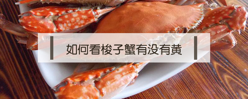 如何看梭子蟹有沒有黃