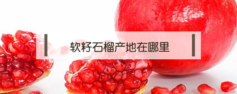 軟籽石榴產(chǎn)地在哪里