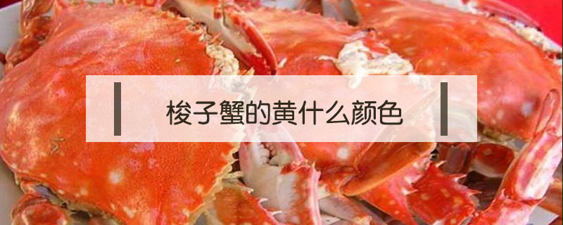 梭子蟹的黃什么顏色