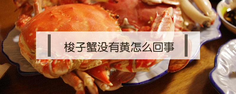 梭子蟹沒有黃怎么回事