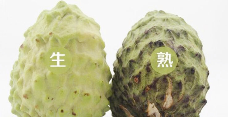 成熟的釋迦果是什么樣的