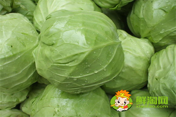 手撕包菜是卷心菜還是椰萊，椰菜和卷心菜怎么區(qū)分