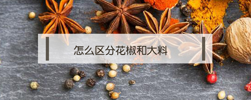 怎么區分花椒和大料