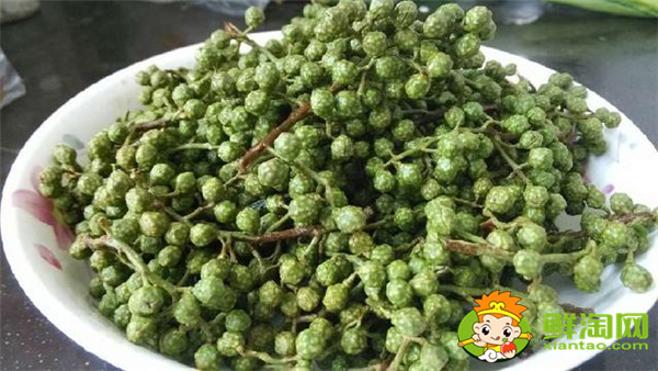 青花椒與藤椒區別，藤椒和青花椒哪個麻