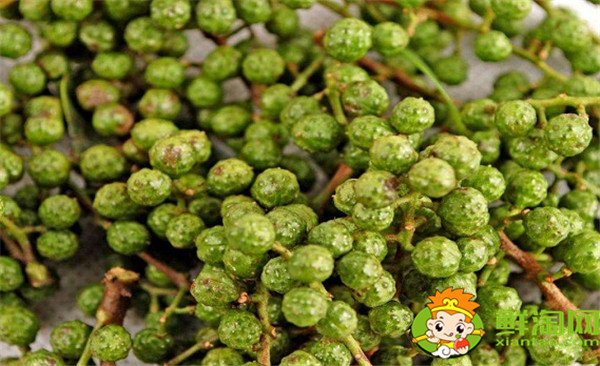 青花椒與藤椒區別,藤椒和青花椒哪個麻