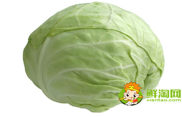 卷心菜和包菜有什么區(qū)別,怎樣區(qū)別包菜和卷心菜