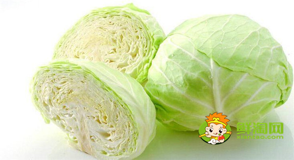 卷心菜做沙拉要焯水嗎,日式卷心菜絲是生的嗎
