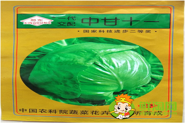 包菜哪個品種好,進口包萊種子有哪些