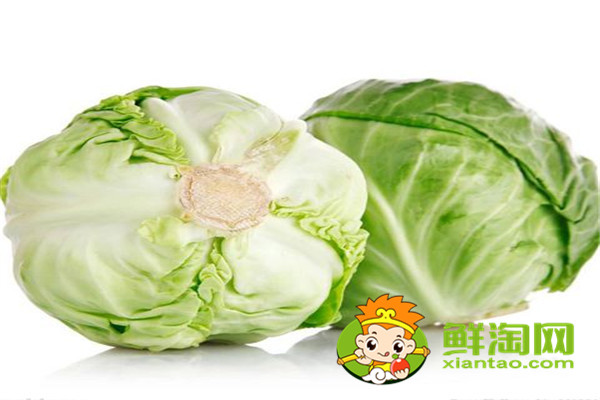 7月份可以種包菜嗎，礦石鎮(zhèn)卷心菜成熟時(shí)間
