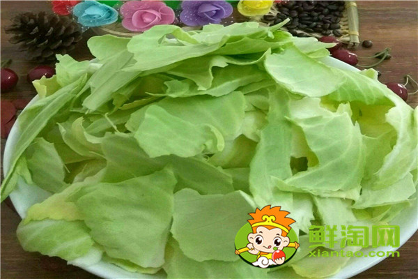 卷心菜是什么時候成熟,卷心萊多少天成熟