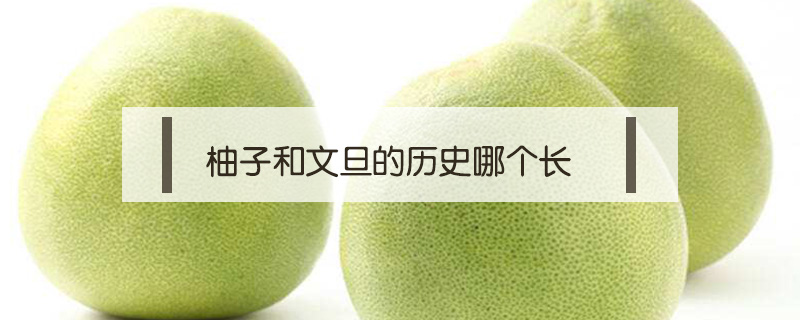 柚子和文旦的歷史哪個長