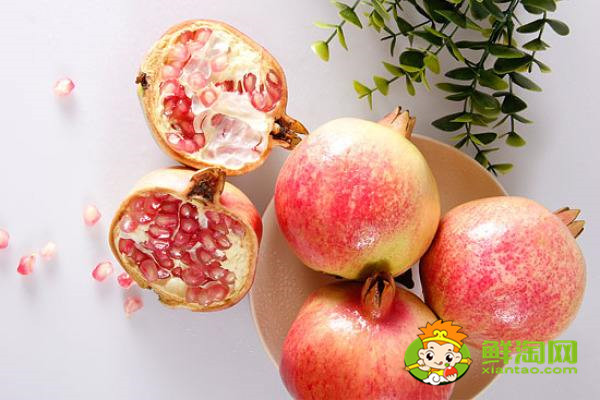 蒙自石榴會理石榴區(qū)別,蒙自石榴幾月份熟