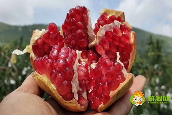 石榴怎么挑里面是紅的,石榴怎么挑選才好吃
