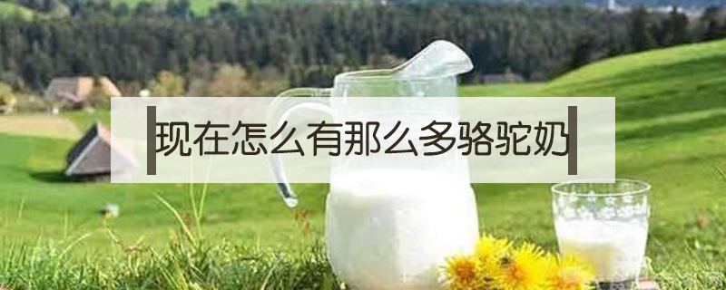 現(xiàn)在怎么有那么多駱駝奶