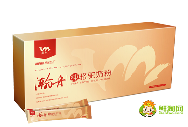 正宗的駱駝奶粉多少錢一斤，哪里能買到正宗的駱駝奶粉