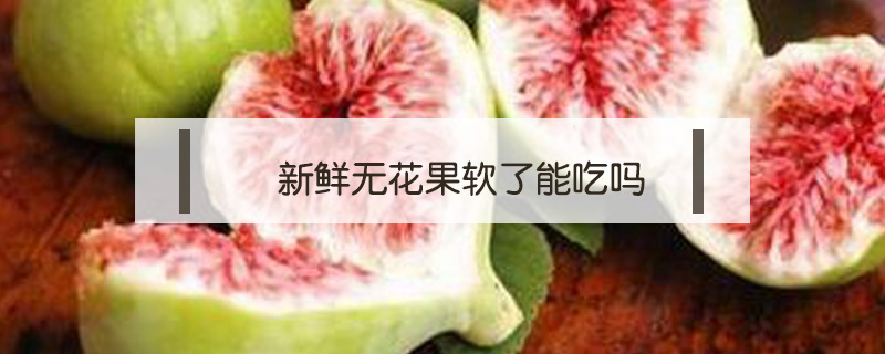新鮮無花果軟了能吃嗎