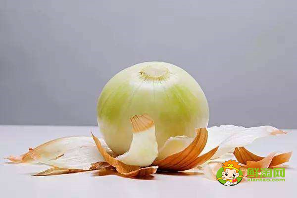洋蔥沒熟吃了會怎么樣,洋蔥生吃好還是炒熟好