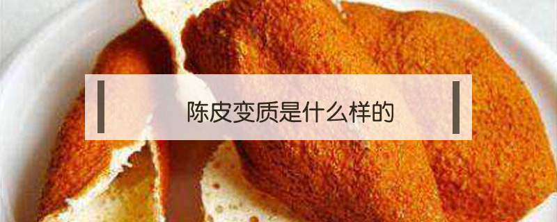 陳皮變質是什么樣的