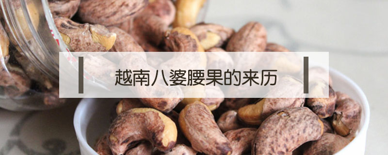 越南八婆腰果的來歷