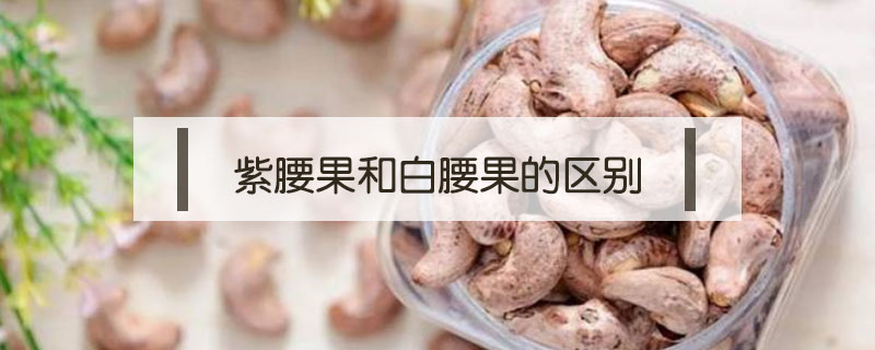 紫腰果和白腰果的區別