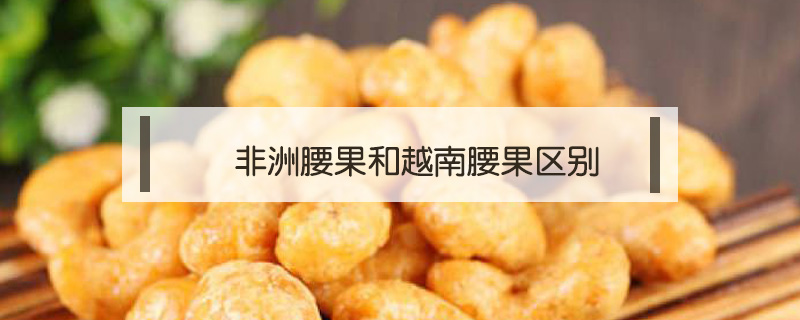 非洲腰果和越南腰果區(qū)別