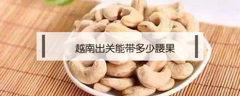 越南出關能帶多少腰果