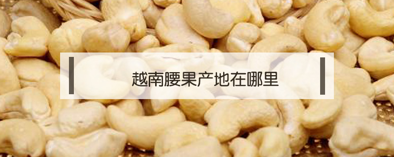 越南腰果產(chǎn)地在哪里