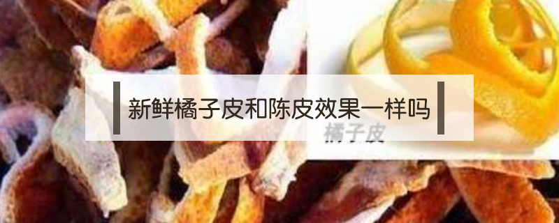 新鮮橘子皮和陳皮效果一樣嗎