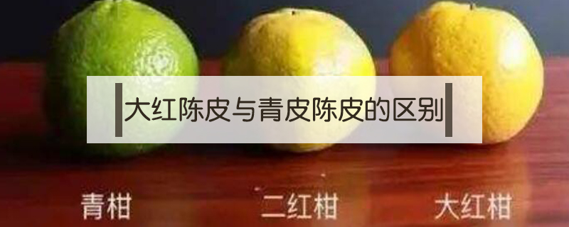 大紅陳皮與青皮陳皮的區別