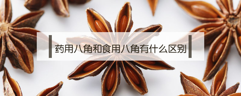 藥用八角和食用八角有什么區別