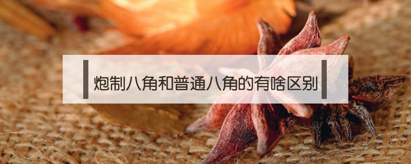 炮制八角和普通八角的有啥區(qū)別