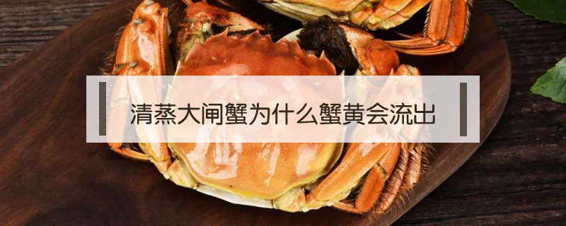 清蒸大閘蟹為什么蟹黃會(huì)流出