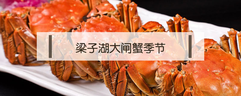 梁子湖大閘蟹季節(jié)