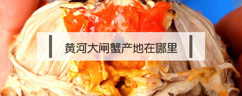黃河大閘蟹產(chǎn)地在哪里